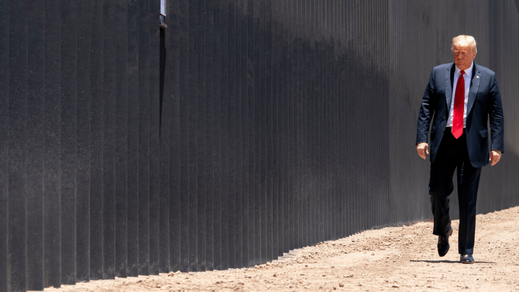 Trump’s National Emergency: Capitalist Strategy in Disguise?