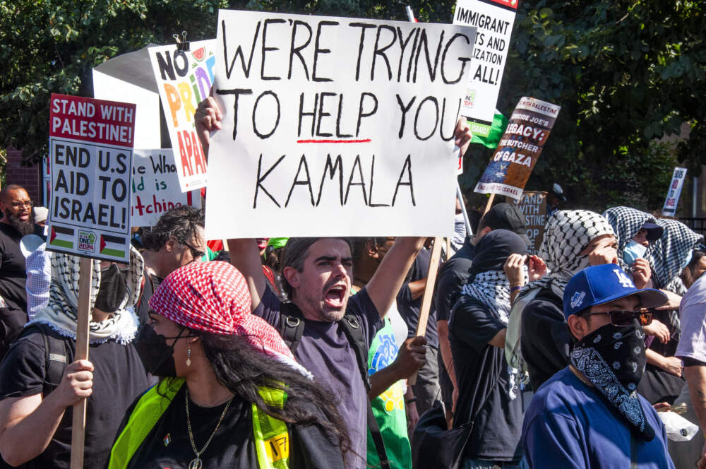 What’s the Problem With Protest Movements Always Playing It Safe?