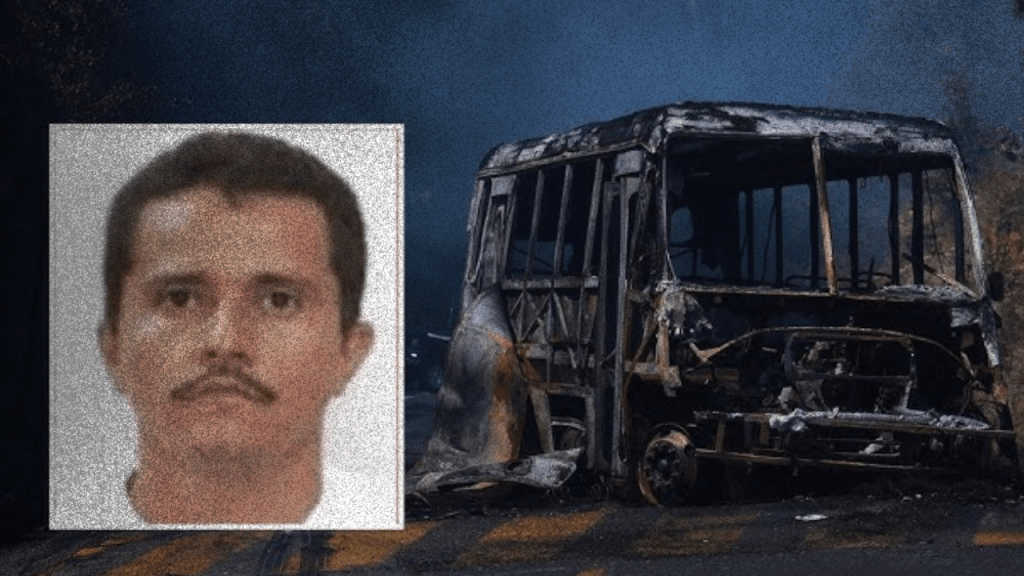 Mexico Cartel Violence: Signaling, Panic, and Power